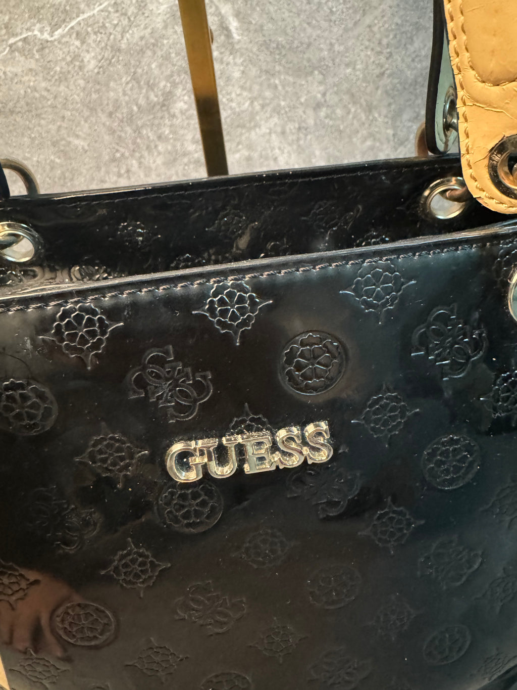 Bolso guess