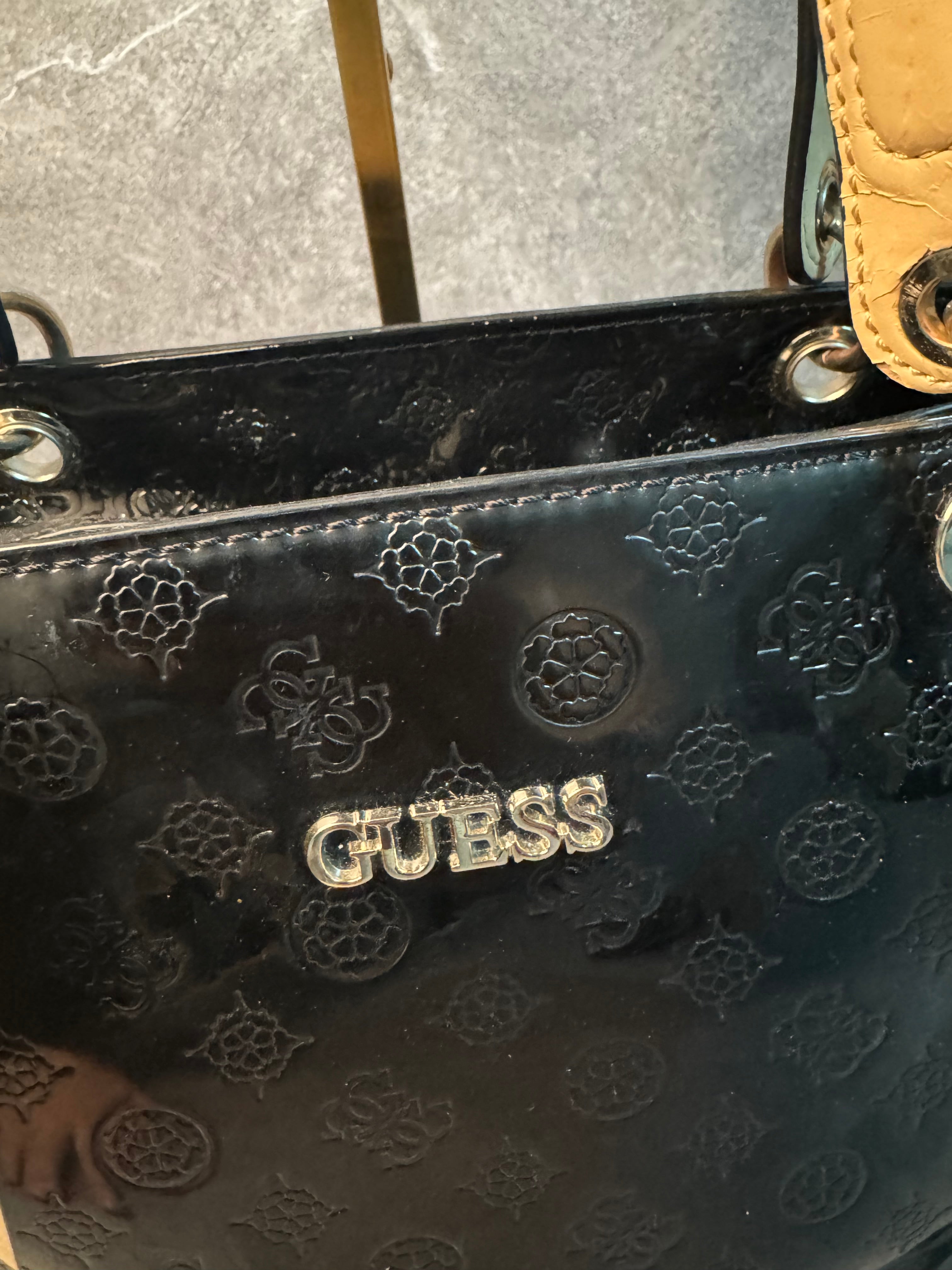 Bolso guess